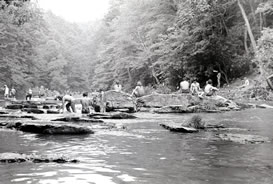 Stompin' 76 festival fans playing in the creek